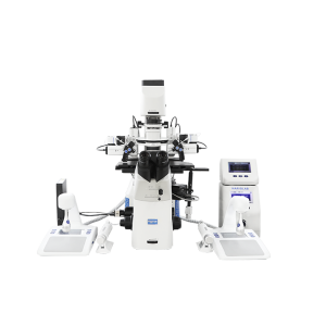 Sistema de Micromanipulação para Pesquisa Animal
